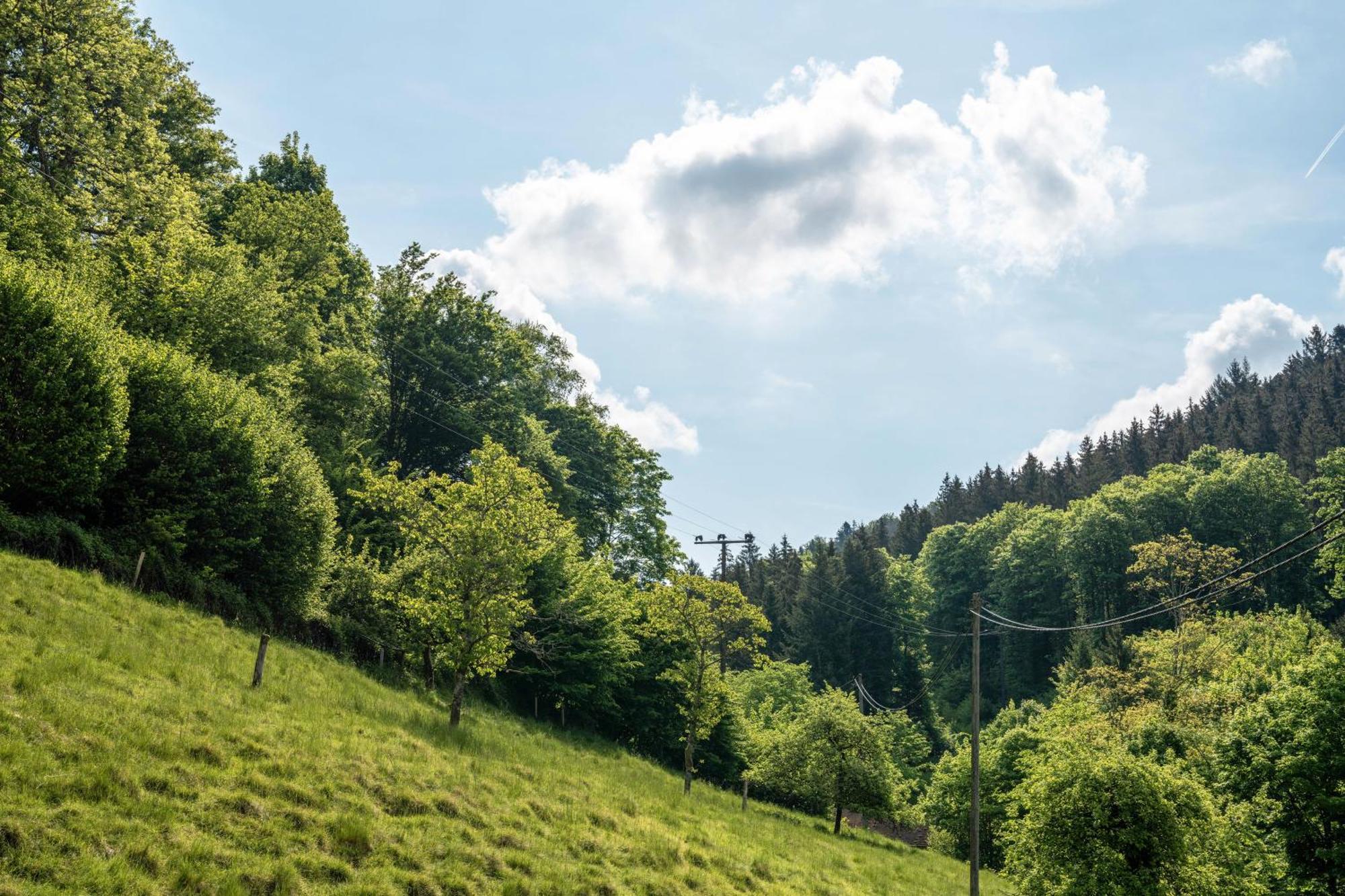 Gaestehaus Gerda Bad Peterstal-Griesbach Buitenkant foto